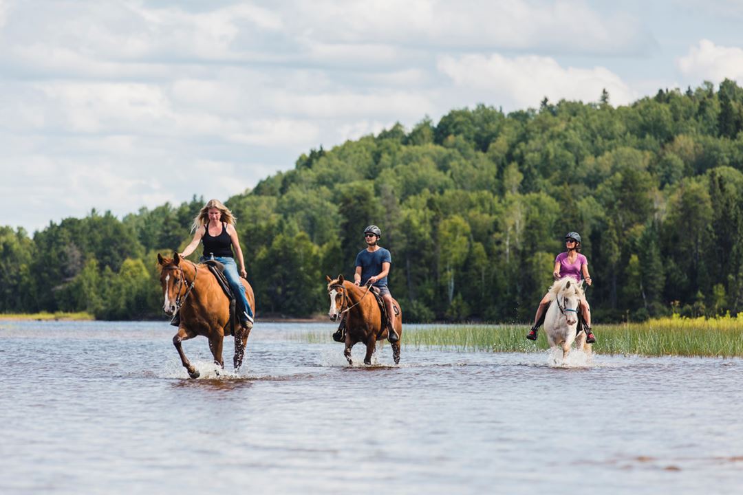 Équitation à l'Auberge du Lac Taureau