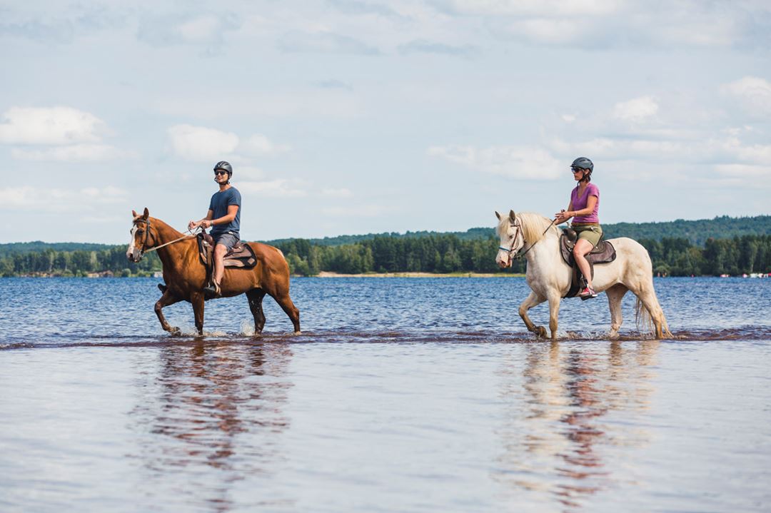 Équitation à l'Auberge du Lac Taureau