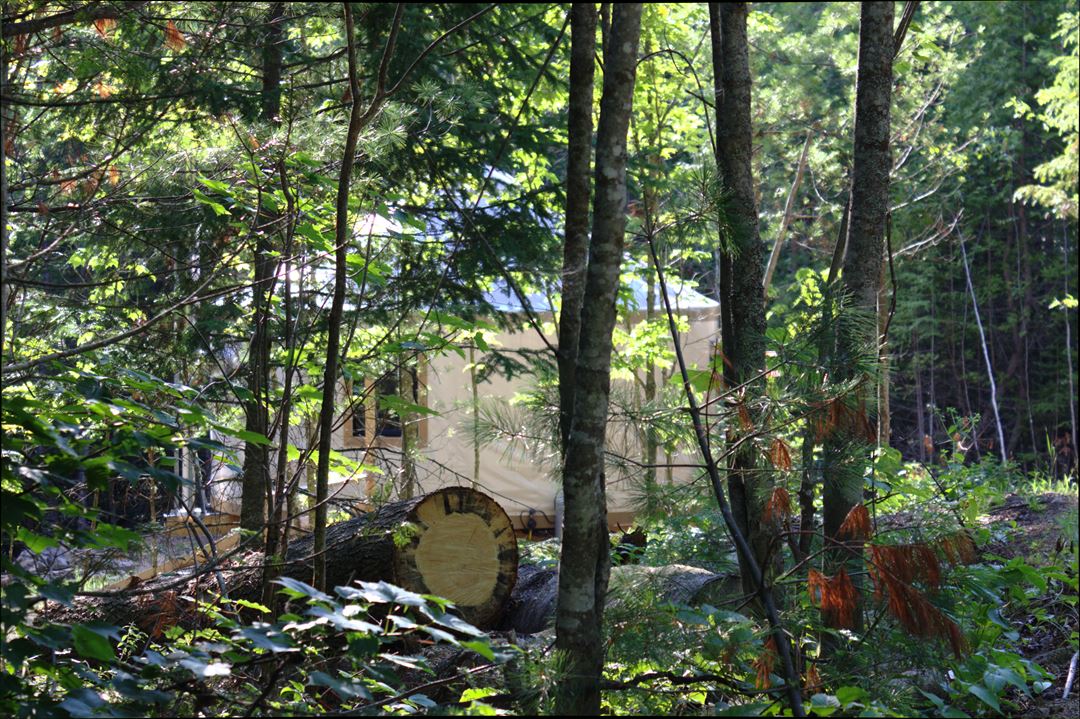 refuges-carole-sylvain-yurt-summer