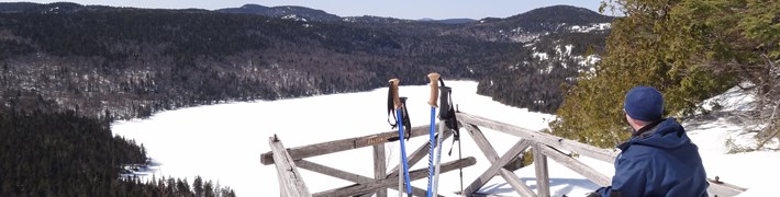 LeLab.Lanaudiere.Data.Models.LocalizedString