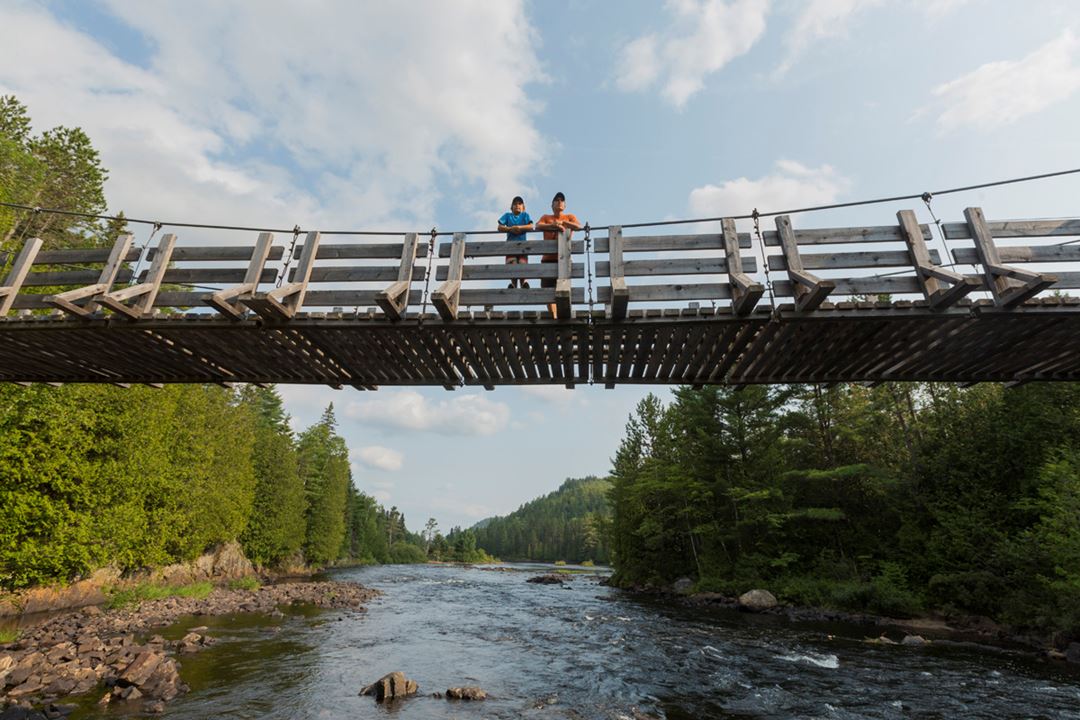 Bridge Parc régional de la Forêt Ouareau