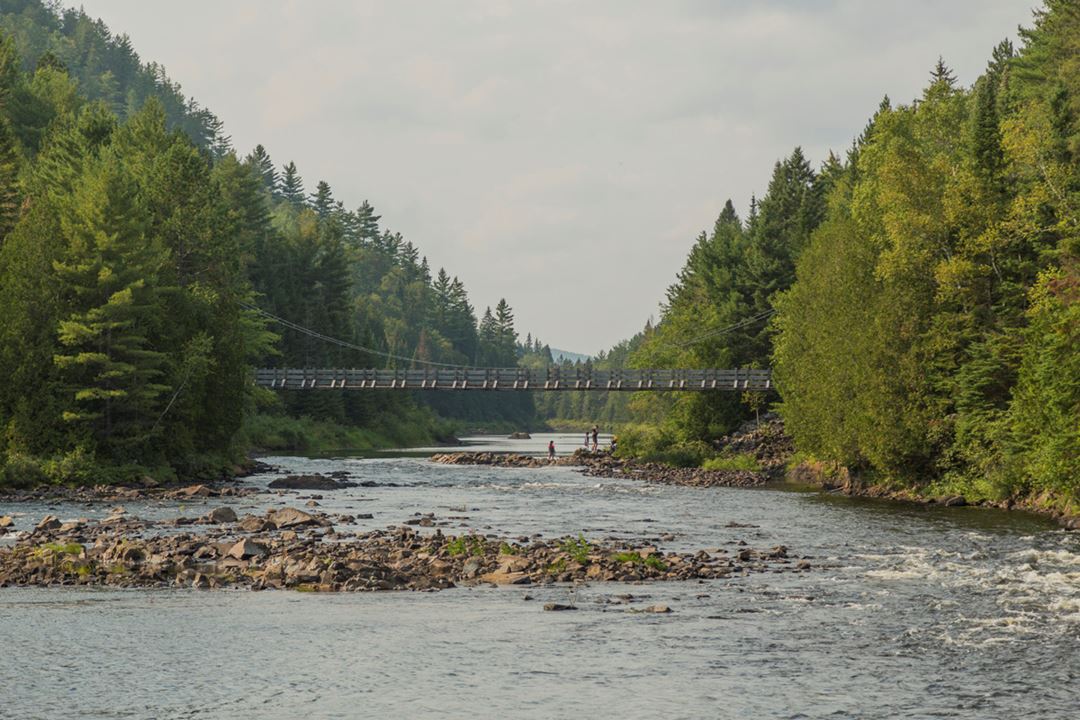 Bridge Parc régional de la Forêt Ouareau