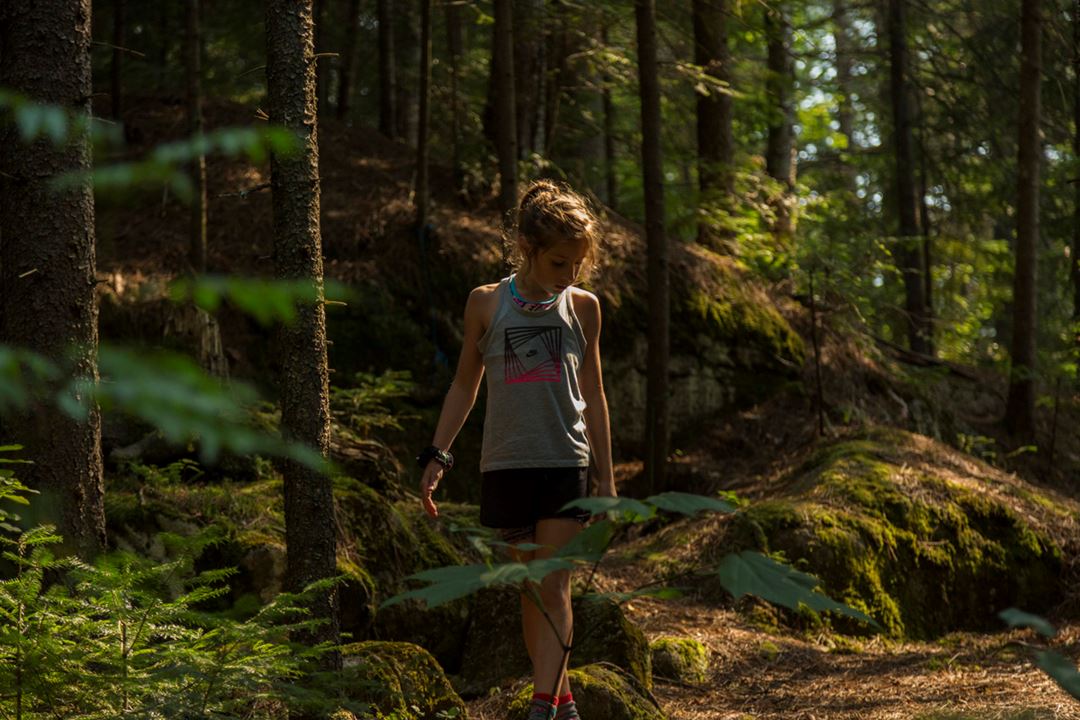 Hiking Parc régional de la Forêt Ouareau