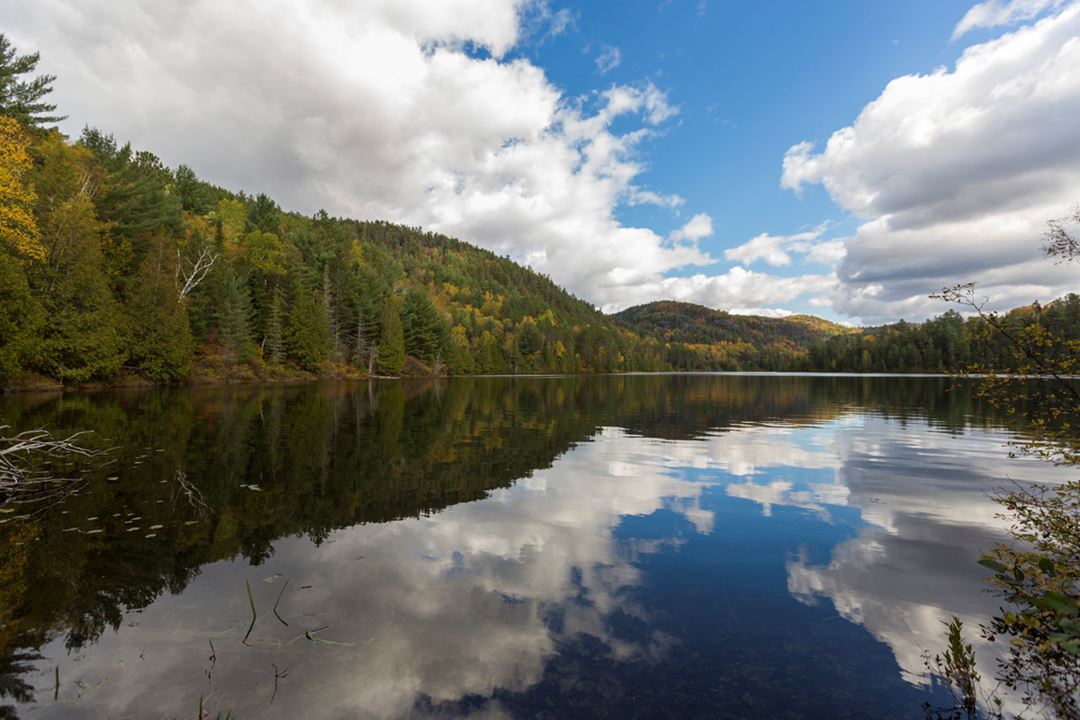 Lake at Parc régional de la Forêt Ouareau