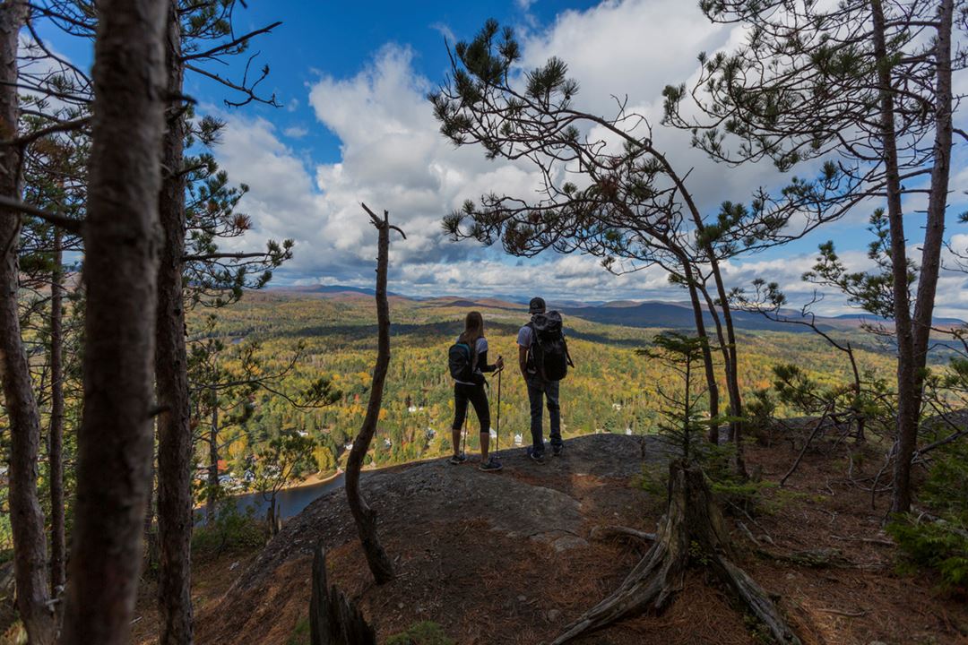 Hiking Parc régional de la Forêt Ouareau