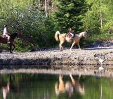 domaine-sam-calm-horseriding-summer