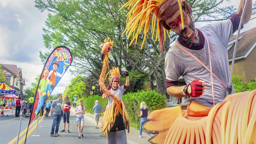 Symphonie des couleurs événement à Saint-Donat