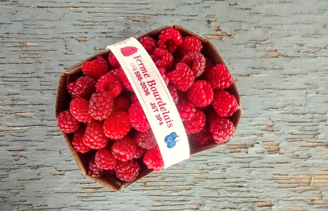 Ferme Bourdelais raspberries