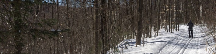 LeLab.Lanaudiere.Data.Models.LocalizedString