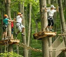 treetop-courses-package
