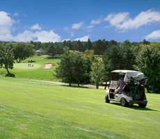 golf-et-voiturette