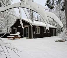 Cottages rent and ski-day