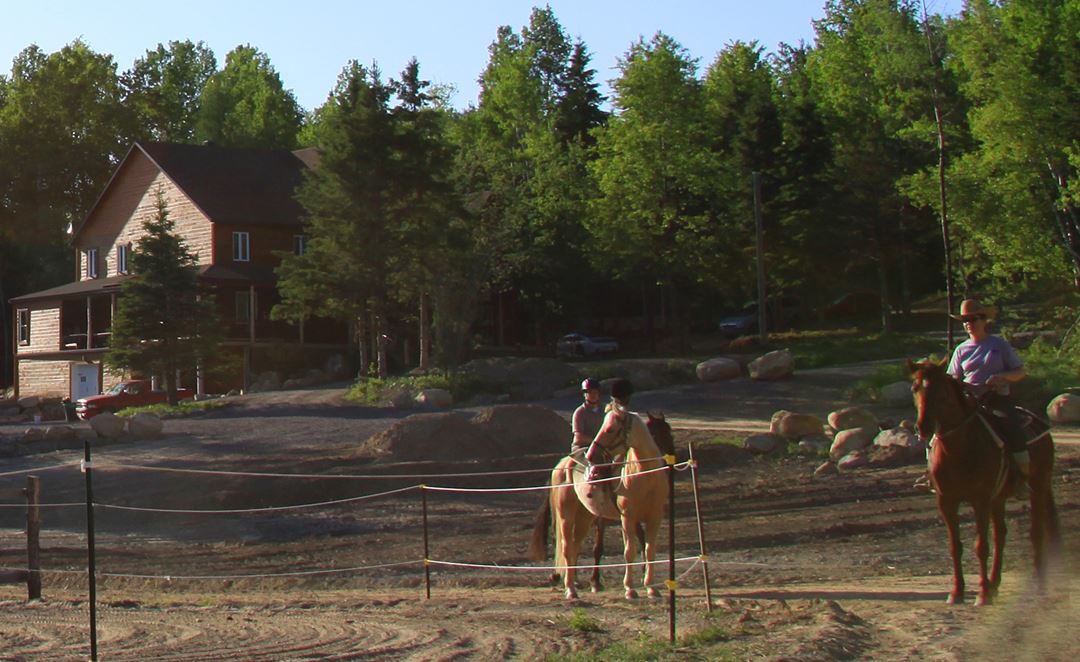 Domaine-Sam-Calm-equitation