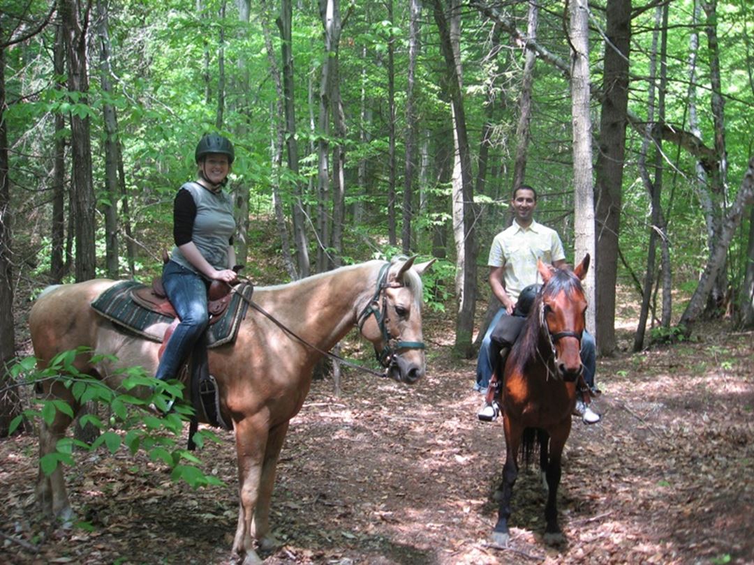 Domaine-Sam-Calm-equitation