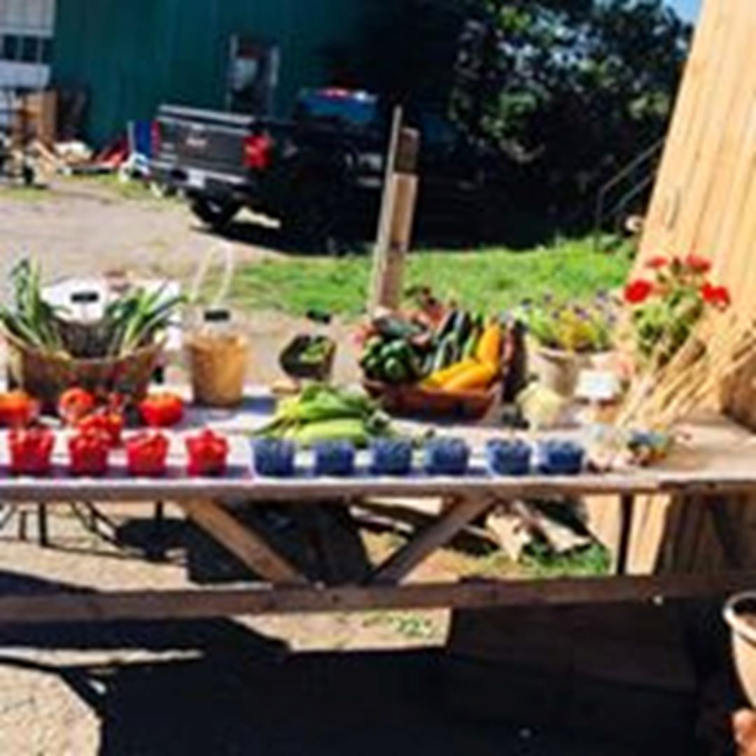 Display of berries in red cassines in the sun on a craft table.