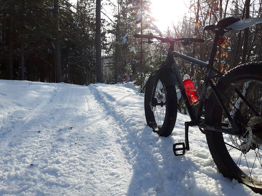 Fat bike