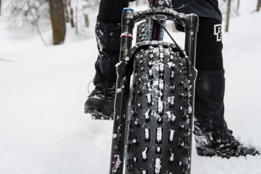 Fat bike at parc Louis-Philippe-De Grandpré