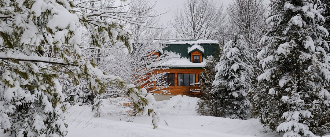 chalets-demelie-hiver
