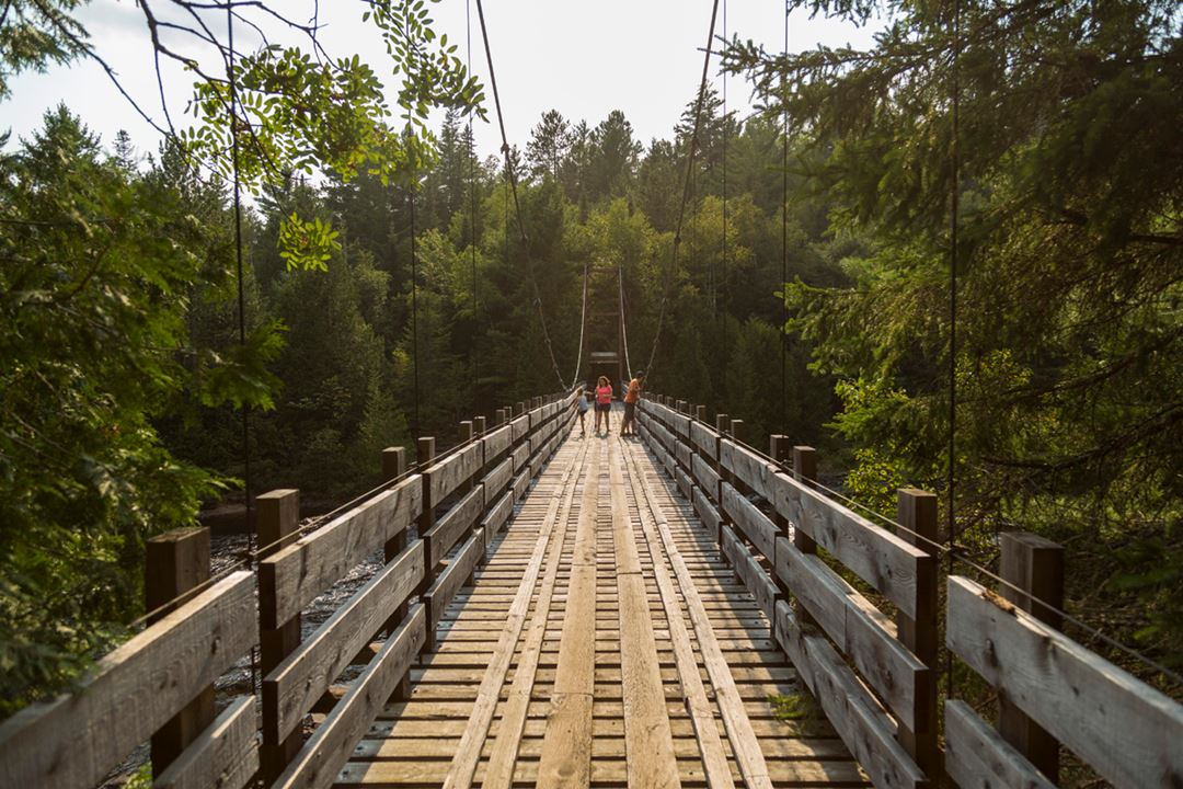 Bridge parc régional de la forêt Ouareau