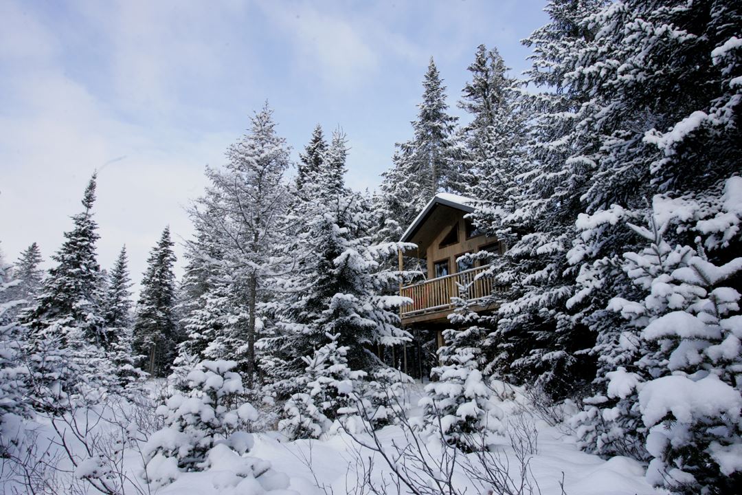 Kabania-cabanes-dans-les-arbres