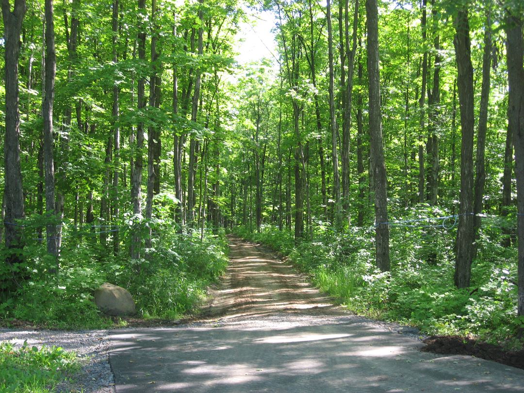 Domaine des 3 gourmands pedestrian trail in the forest
