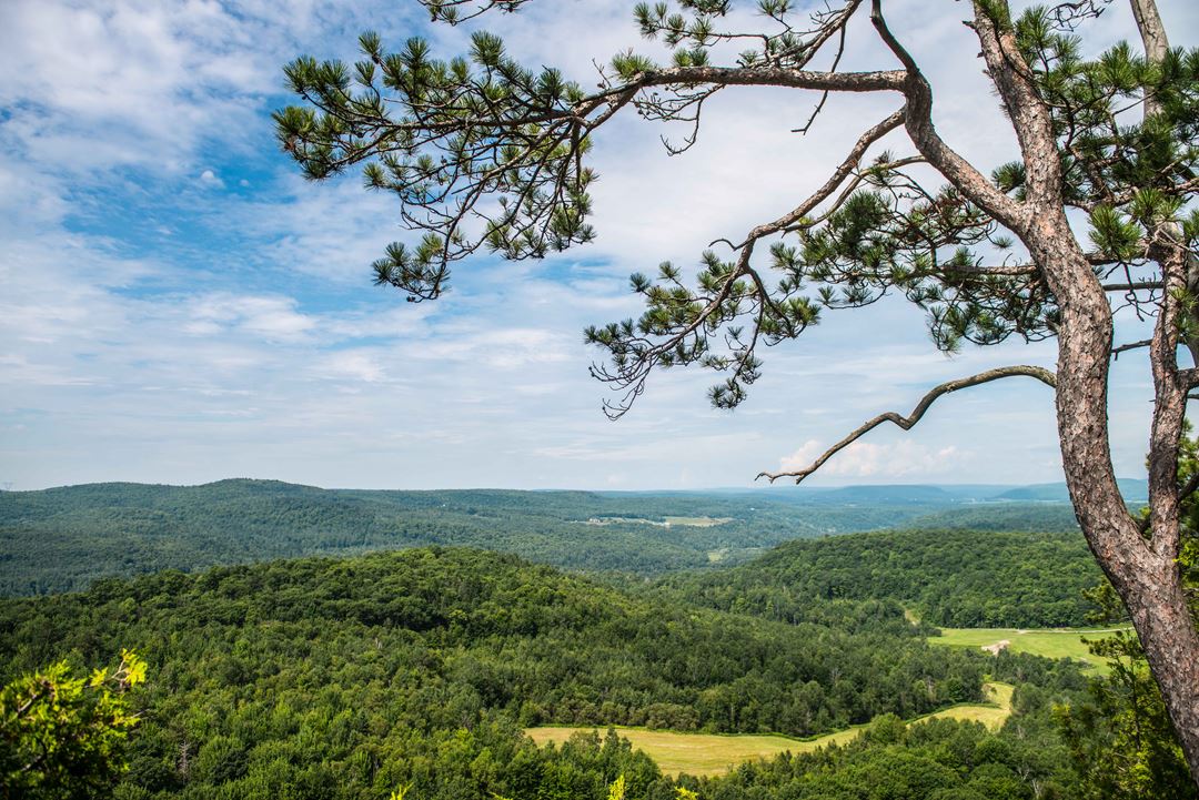 Auberge-montagne-coupee-belvedere-summer