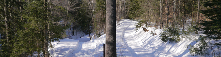 Chez-Ti-Jean-ski-de-fond