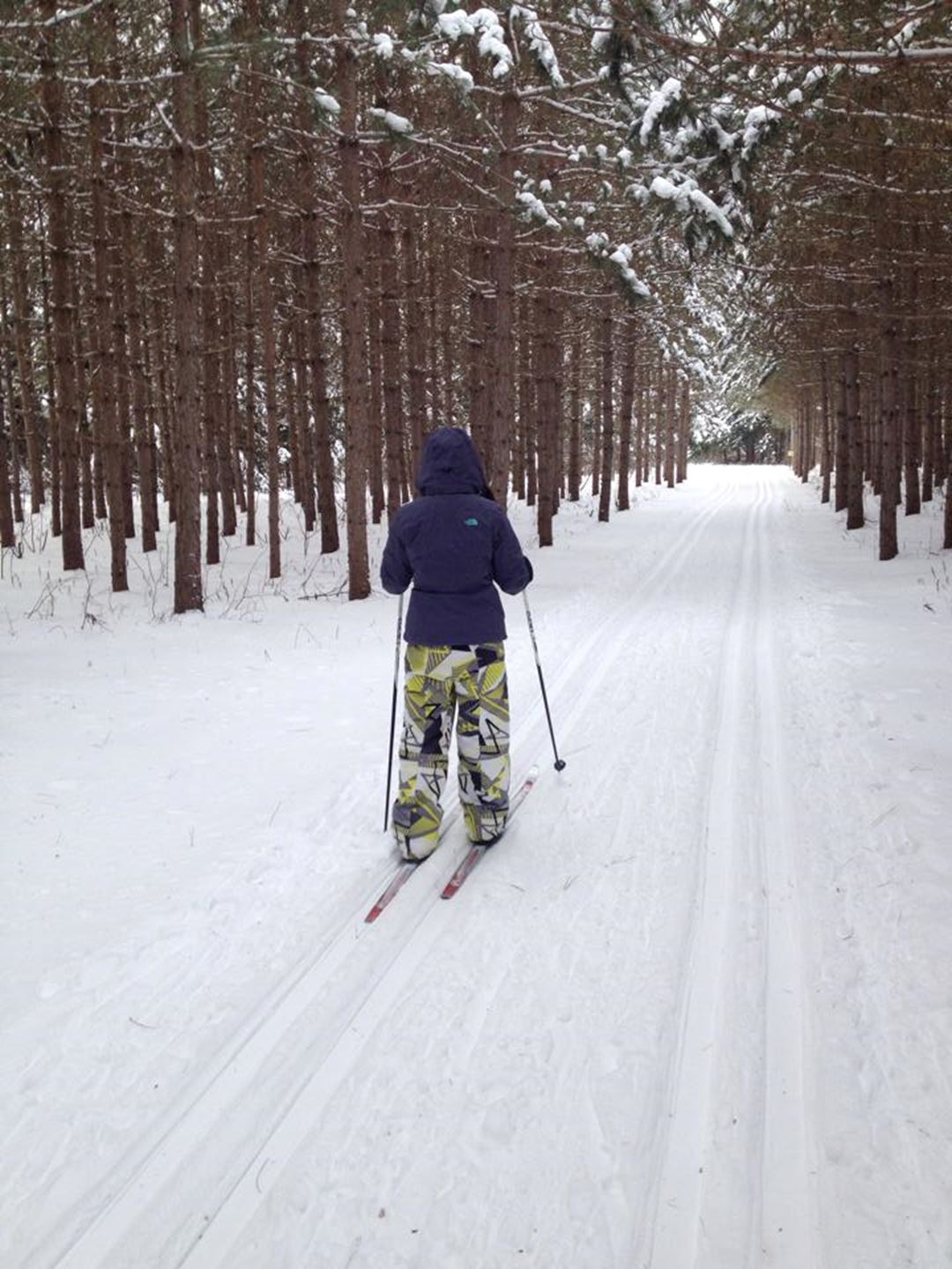 Chez-Ti-Jean-ski-de-fond
