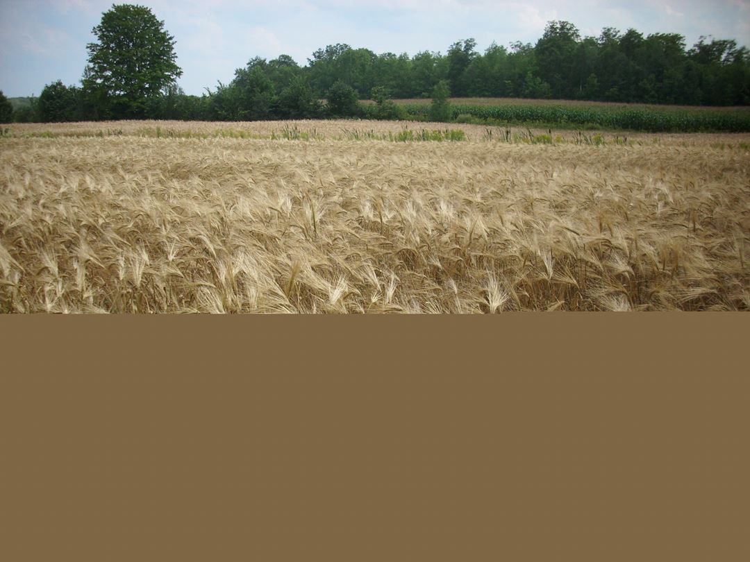 Entreprise Malisson