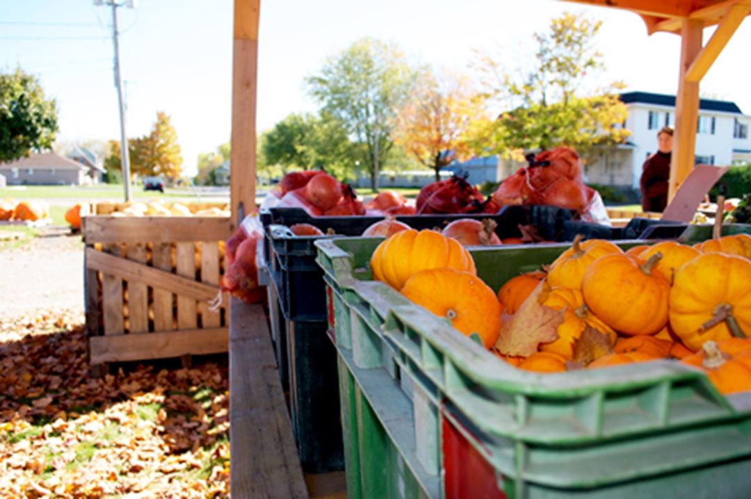 ferme-richard-desmarais-kiosque-fruits-legumes