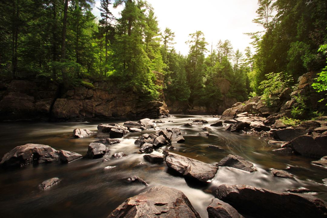 Parc régional des Chutes Dorwin