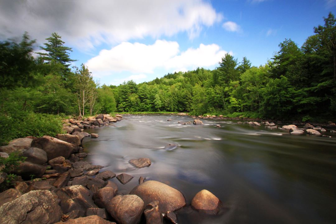Parc régional des Chutes Dorwin