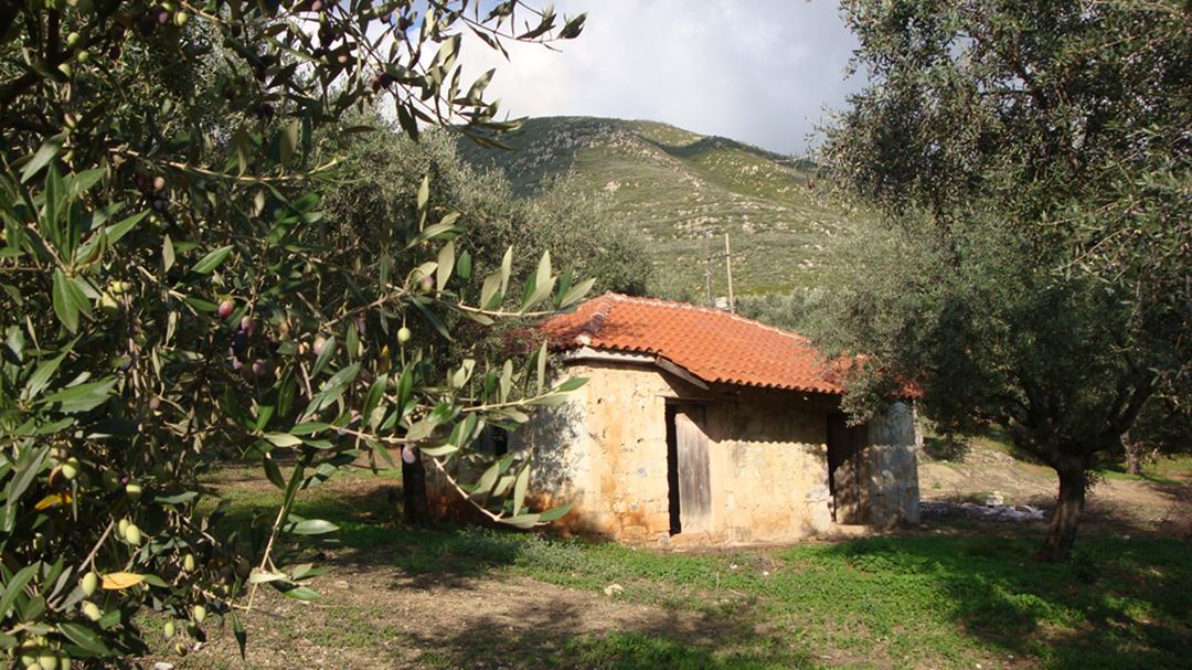 Domaine et vignoble Stravopoulos