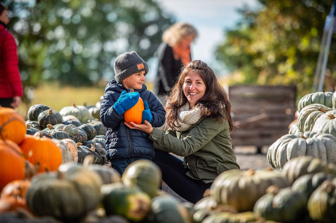 Family gathering squash at La Courgerie