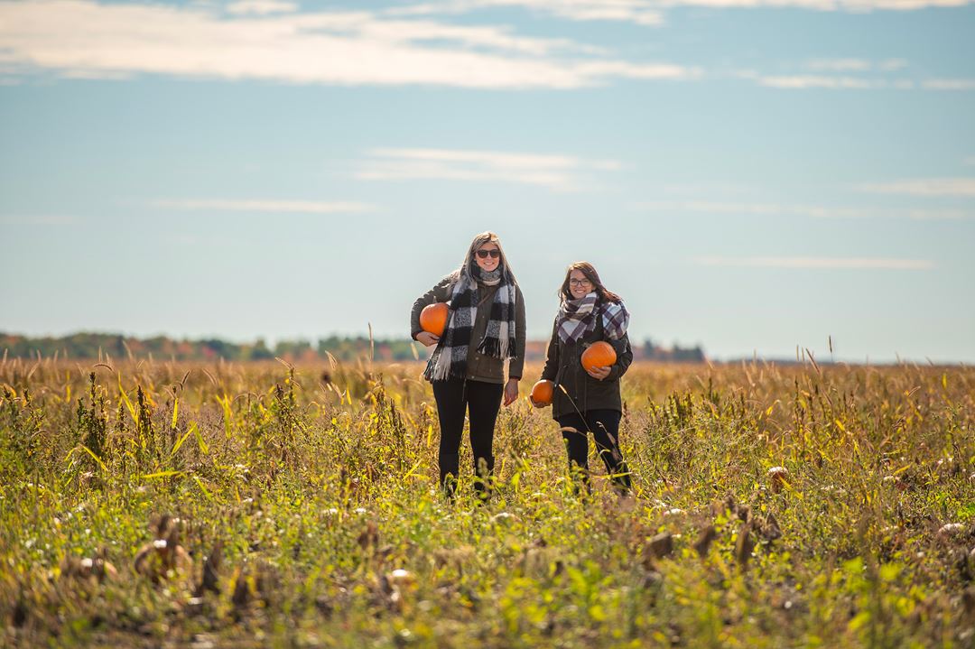 Girls in a field at La Courgerie