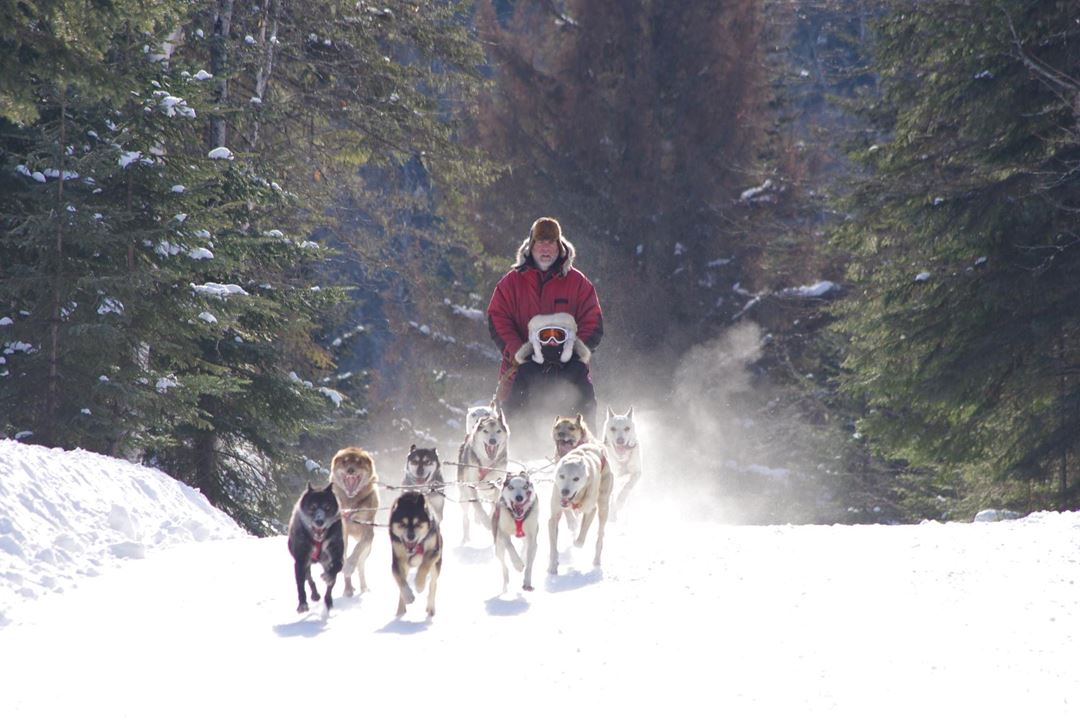 evasion-nature-expedition-k9-dogsledding