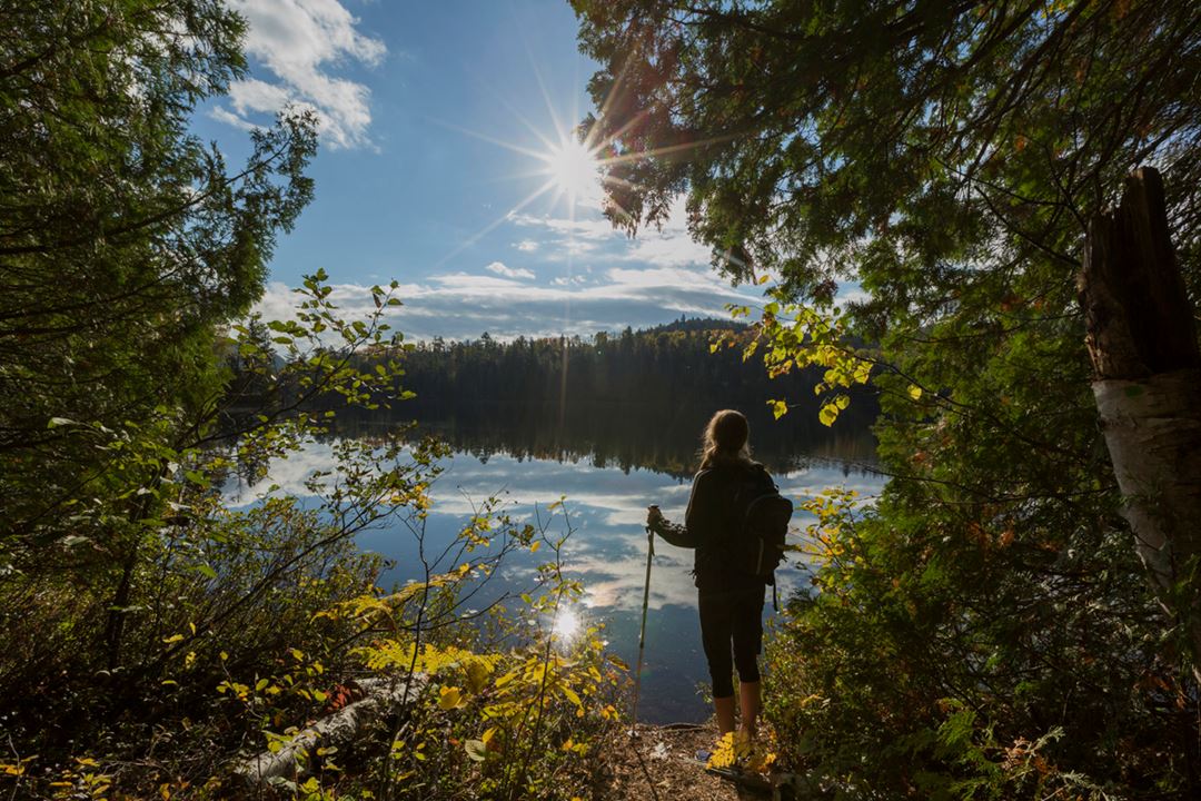 Hike Parc régional de la Forêt Ouareau
