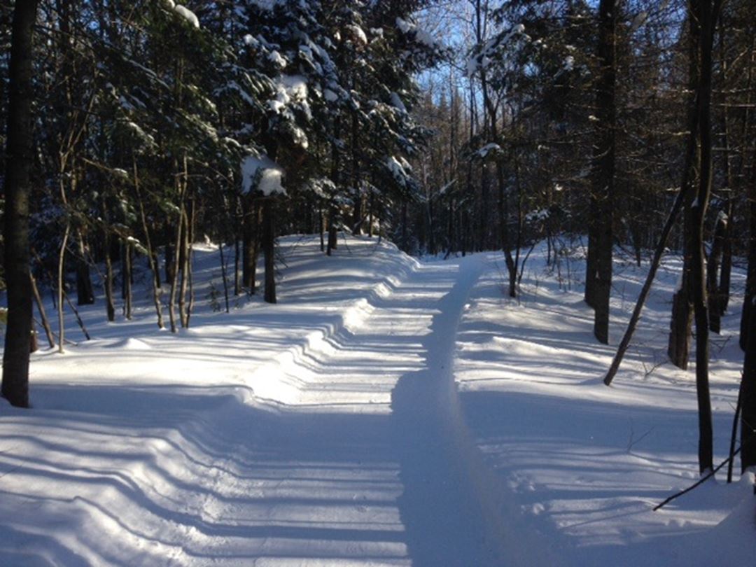 les-sentiers-brandon-hiver
