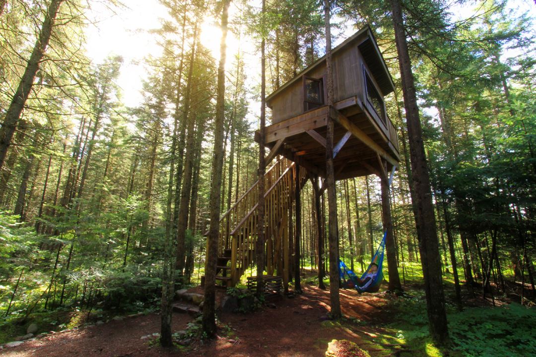 Kabania-cabins-in-the-trees