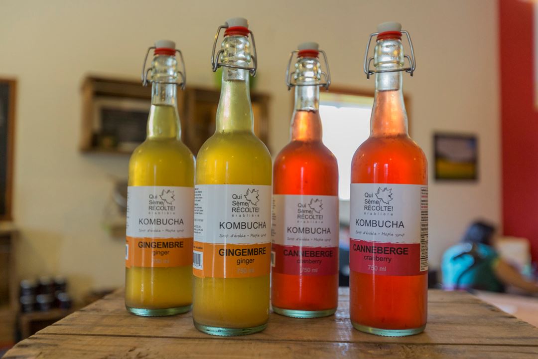 Kombucha de Qui sème récolte! / Cuisine Poirier