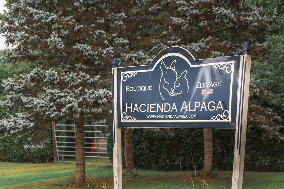Hacienda Alpaga