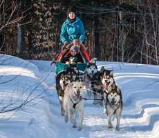 Dogsledding at Kinadapt