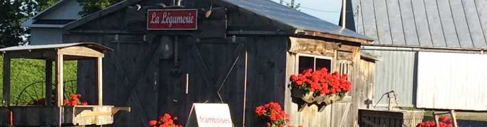 ferme-richard-desmarais-kiosque-fruits-legumes