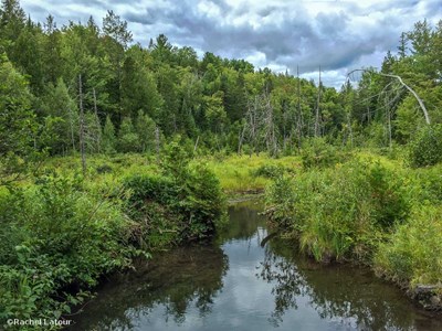 randonnée chalets lanaudière rawdon