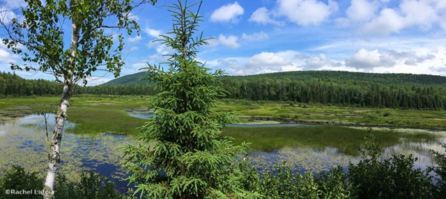 parc mont-tremblant