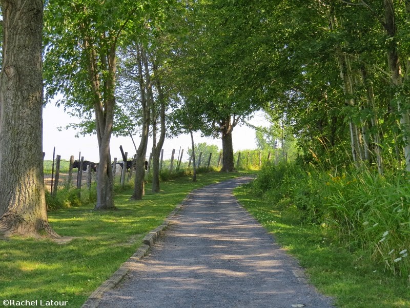 sentier des tours de la scribi sentier des tours de la scribi