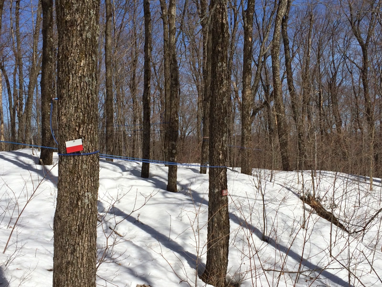 Le sentier du MontOuareau Le sentier du MontOuareau