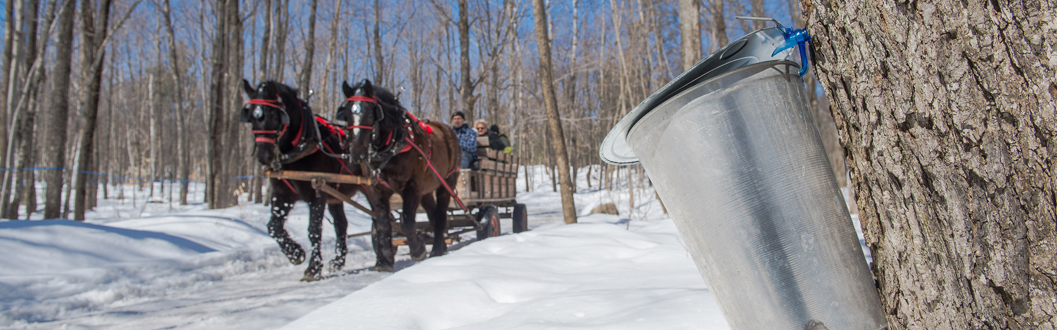 cabane-sucre-restaurant-tourisme-lanaudi-re